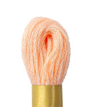 Max Mouline Embroidery Floss