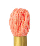 Max Mouline Embroidery Floss
