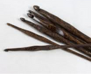 Palmwood Hook