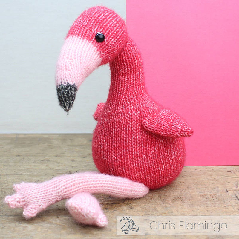 Chris Flamingo