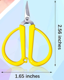 Itty Bitty Scissors