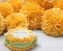 Pom Pom Maker